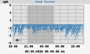 Wind Vector